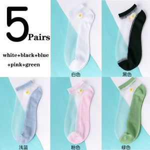 Translucent Daisy Socks (5 Pairs)